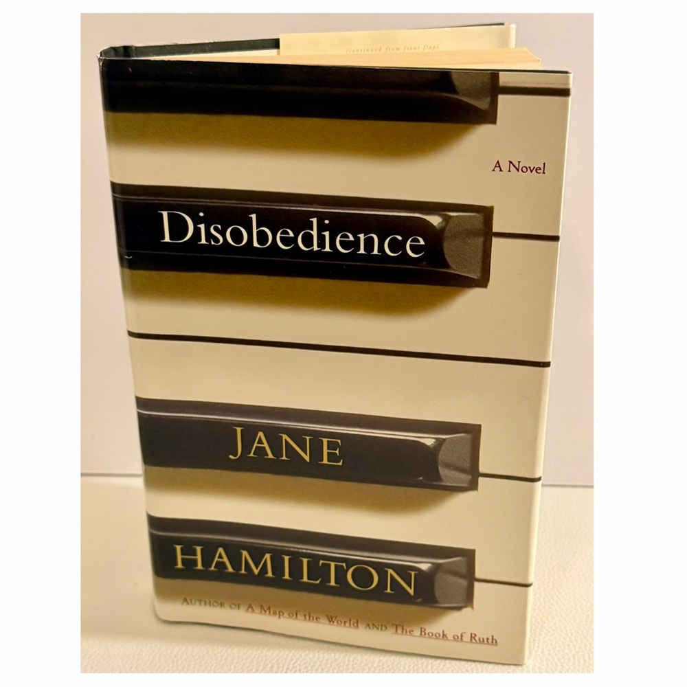 Disobedience Jane Hamilton Hardcover Novel Doubleday Literary Fiction Book